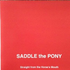 Pigeon on a Gate - Drowsy Maggie