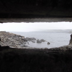 Bringin Home The Rain