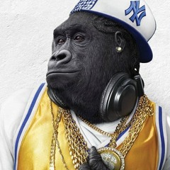 [The StupidMonkey] - HipHop / GhettoFunk / GlitchHop