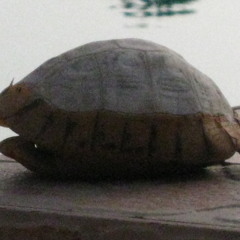 UNITED COLOURS tester