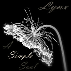 Lynx - A Simple Soul Sample