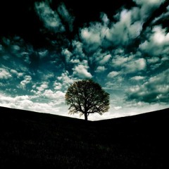 Kollektiv Turmstrasse - Grillen Im Park