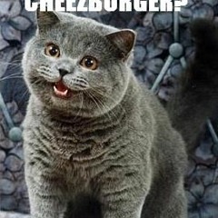 Cheezburger