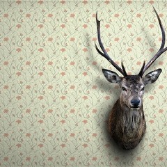 Elastique Soul - It always come`s down 128.mp3