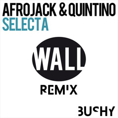Selecta Remix Mr.Bushy