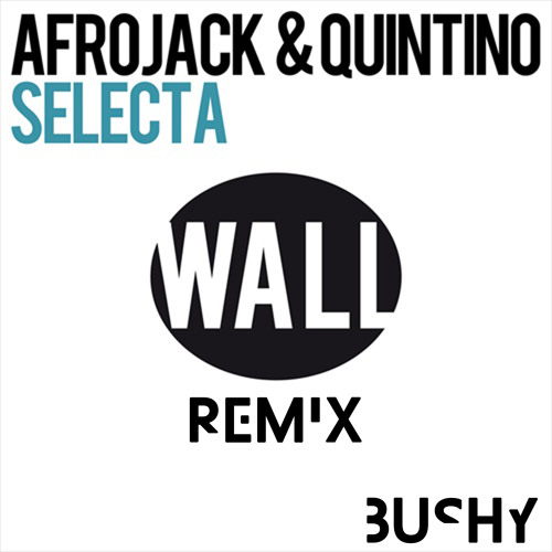 Selecta Remix Mr.Bushy
