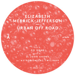 Elizabeth Merrick-Jefferson - Astronomical Twilight