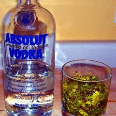 Weed & Liquor-Sully Jaye (free download)