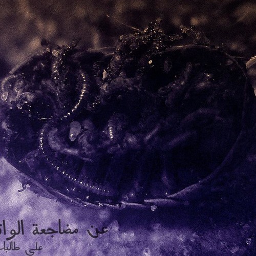 عن مضاجعة الواقع - علي طالباب