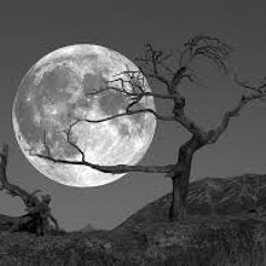 Austin Belling ft. B-Rad-B Sunless Days