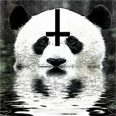 You love pandas but they don't love you (Prod. Viny Rodrigues)