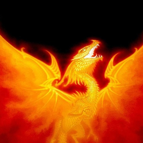 Pondscum - Compufule