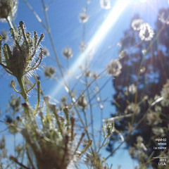 I a mirror - Teleos | MYSL-02