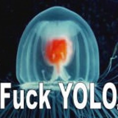 Stop it! u KILLING me!!!