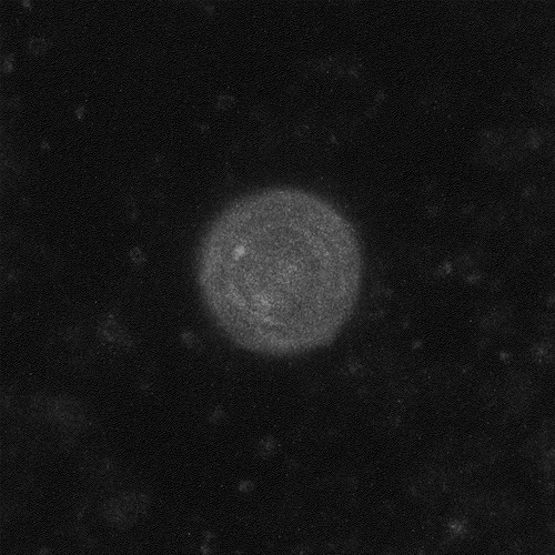 Stream Therapeutic State - Roscoe P coltrane by Roscoe P. Coltrane ...