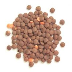 Mason's Intercontinental Lentil Mix