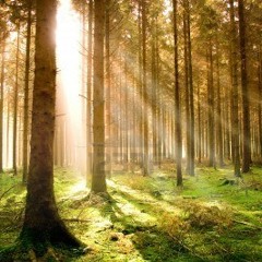 Chris Rye & Maxington - Fairytale