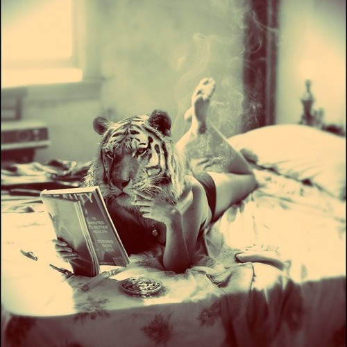 Chillout Set by DomPery
