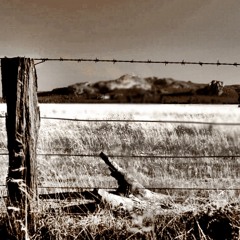 İkra - siyah kehribar