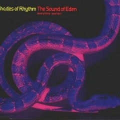 Shades of Rhythm - Sound Of Eden (Exposure UKG Remix)