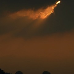 Dishevelled Feat. Thom Morecroft