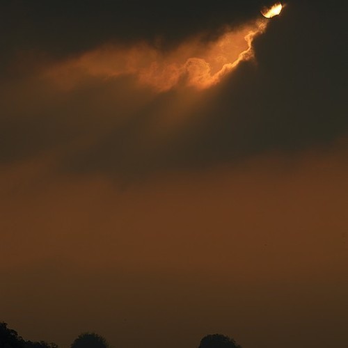 Dishevelled Feat. Thom Morecroft