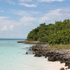 The Cynic Project ft. Julie Hatfield - These Shores (Danny Decibel remix)