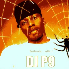 DJ P9-South African(Kwaito Mix taste)+Effects