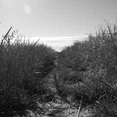 2Pas0s - In Blue Morning