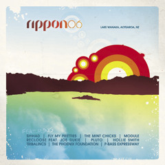 P-Bass Expressway - Felloverthefunk