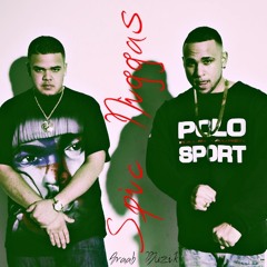 Spic Niggas Feat. Ness Rhyme (Prod. By Araab Muzik)
