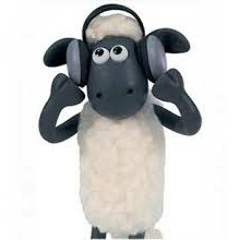 Sean the sheep