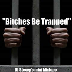 "BITCHES BE TRAPPED" (DJ Steevy mini Mixtape)