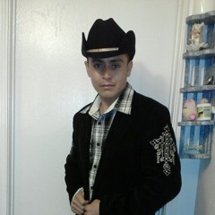 Zapateado Encabronado # 1 (Juan Colorado-El Sinaloense).mp3