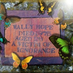WallyVision (Original Raining Flutterbies Mix) - NoneSuch Dj.