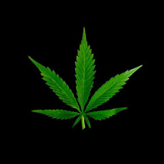 MC Mago ft Affaner - Hand's up