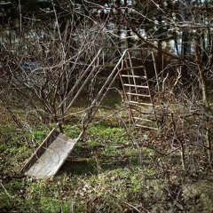 Personal Ruin And Lust