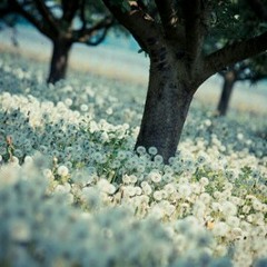 فَضَاءاتِى ܔ