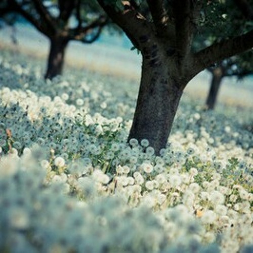 فَضَاءاتِى ܔ