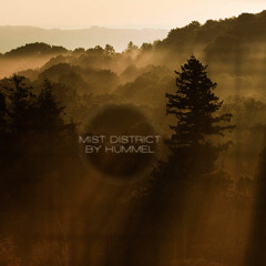 Mist District