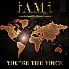 You're The Voice (I AM I) [John Farnham cover]