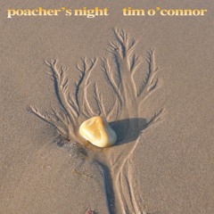 Poacher's Night