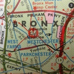 Bronx Tradition (Opening)