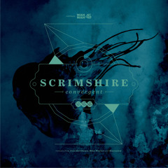 Convergent (Yosi Horikawa Remix)