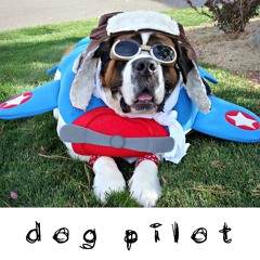 DOG PILOT - Cockpit (House | Electronica)