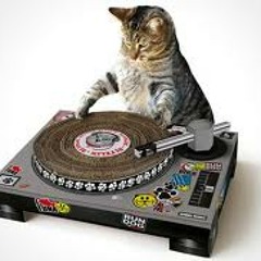 100% N00B MIX