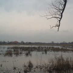 voorjaar 2013