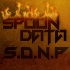 Spoon Data (Aelian & Catwool) - SDNP