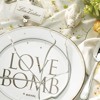 Author Lisa Zeidner Blows up the Wedding Novel with "Love Bomb" - Public Radio's The Dinner Party
