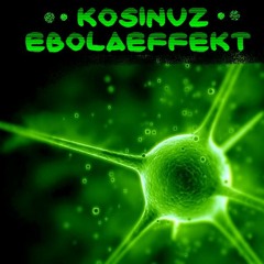 Kosinuz @ EBOLAEFFEKKT [02.03.2013]